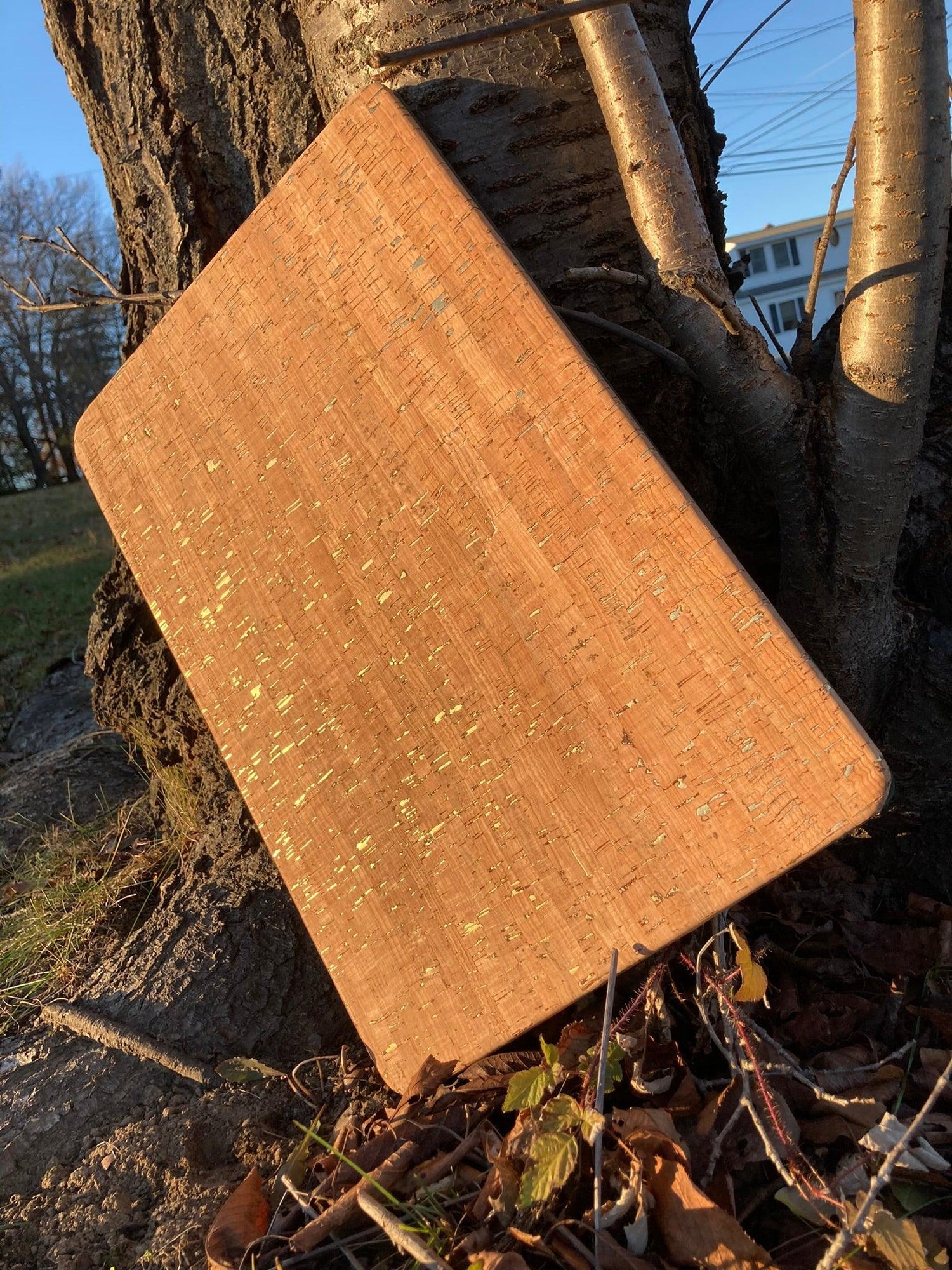 Legendary Class Show Board Close-Up Pad.